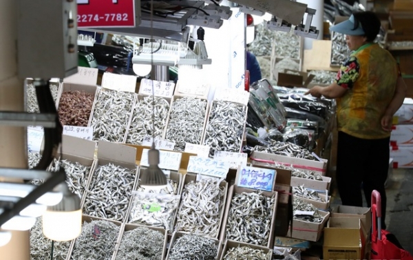 ▲ 추석을 보름여 앞둔 28일 오후 서울 중구 중부시장에서 한 시민이 각종 제수용품을 살펴보고 있다.