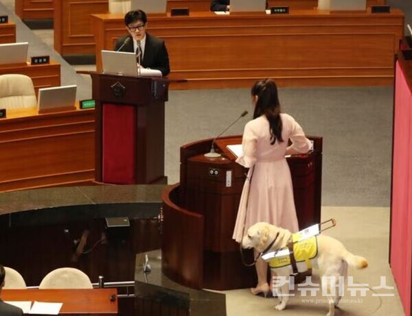 국회 대정부질문에서의 시각장애인 김예지 의원과 한동훈 법무부장관